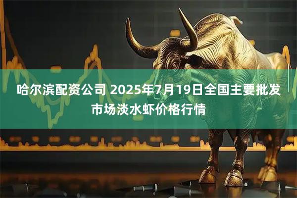 哈尔滨配资公司 2025年7月19日全国主要批发市场淡水虾价格行情
