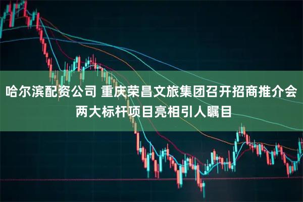 哈尔滨配资公司 重庆荣昌文旅集团召开招商推介会 两大标杆项目亮相引人瞩目