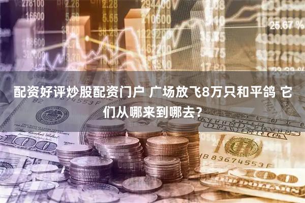 配资好评炒股配资门户 广场放飞8万只和平鸽 它们从哪来到哪去？