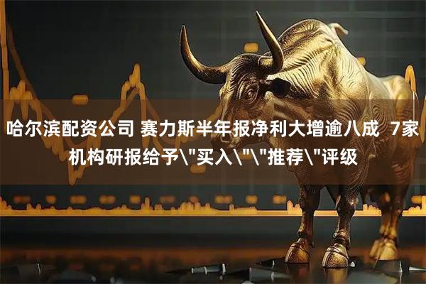 哈尔滨配资公司 赛力斯半年报净利大增逾八成  7家机构研报给予